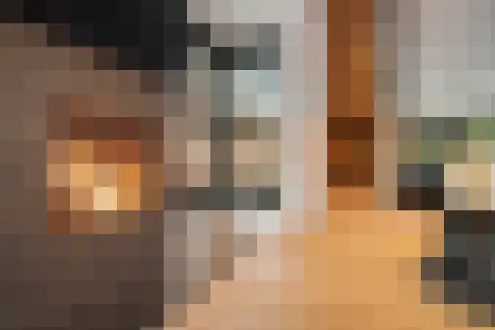 Vikingenpoort 1 c Houten thumbnail 8