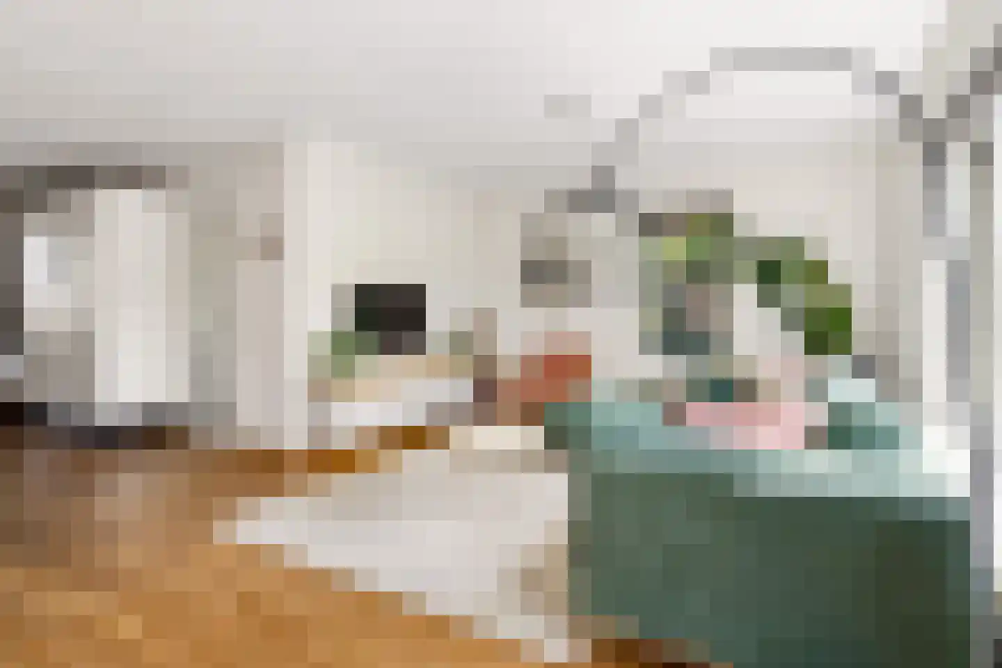 Vikingenpoort 7 Houten thumbnail 12