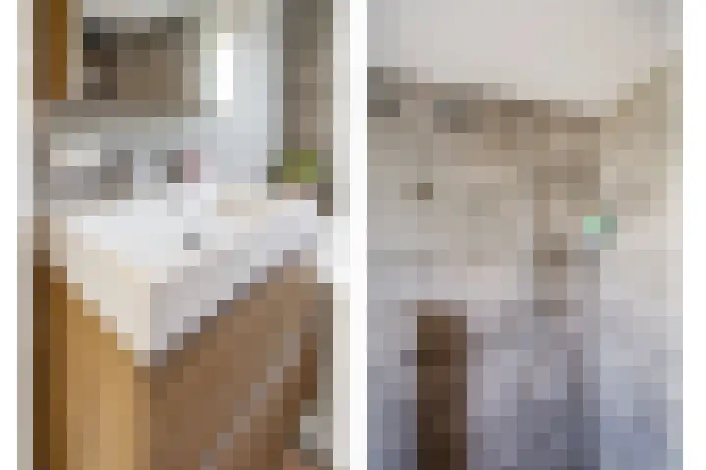 Vikingenpoort 7 Houten thumbnail 39