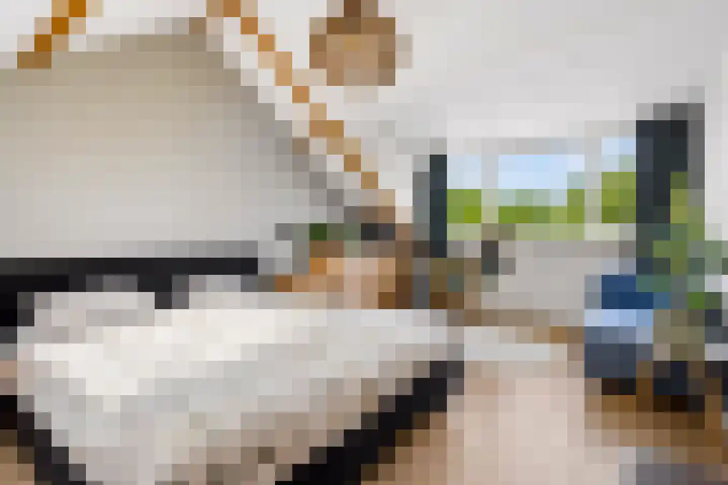 Vikingenpoort 7 Houten thumbnail 41