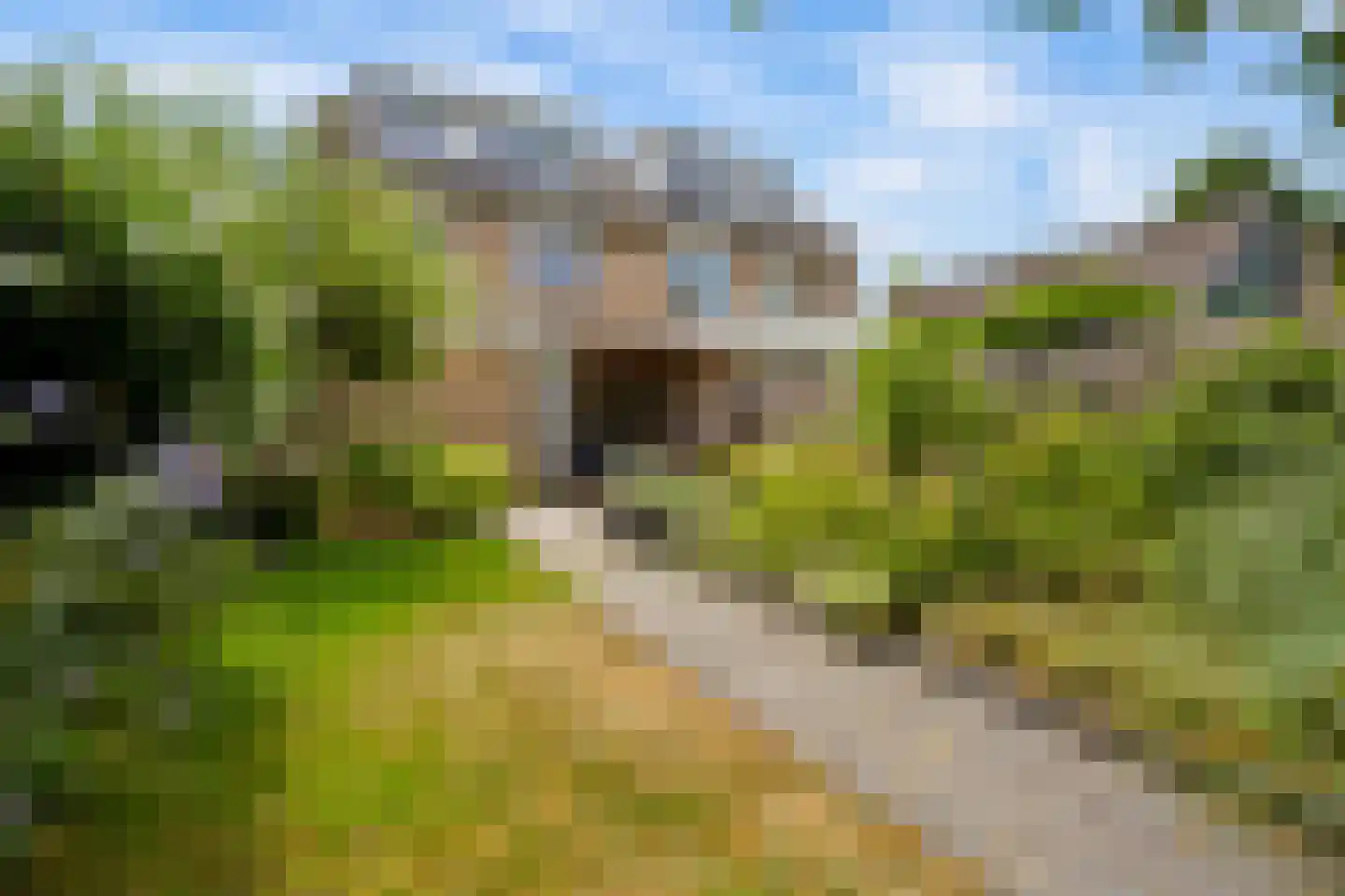 Vikingenpoort 7 Houten thumbnail 51