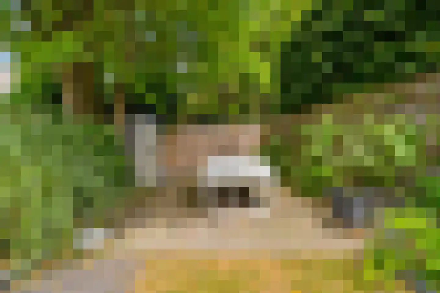Vikingenpoort 7 Houten thumbnail 52