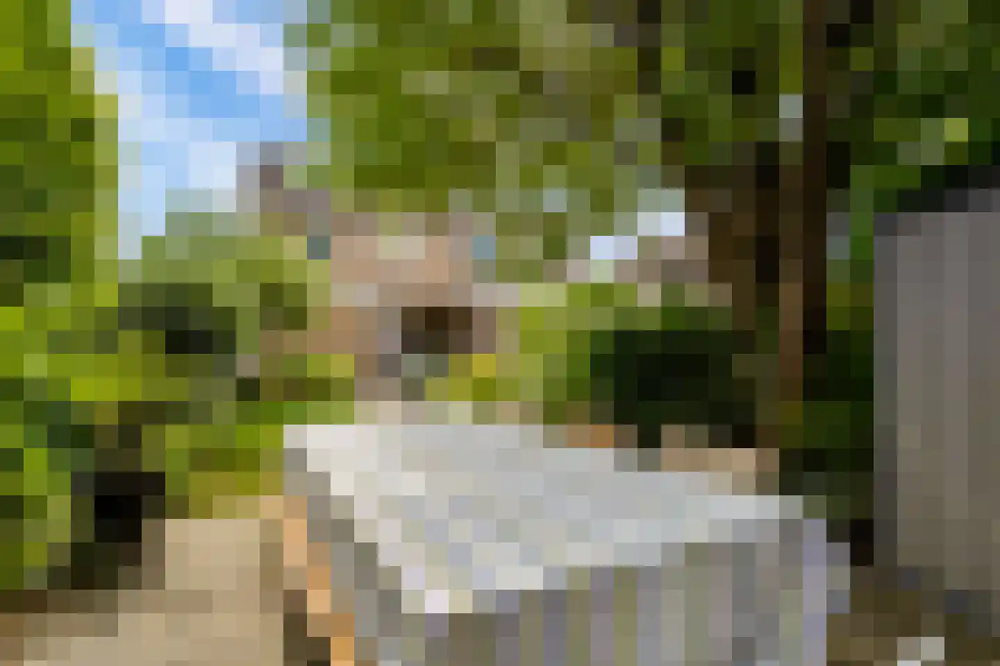 Vikingenpoort 7 Houten thumbnail 53