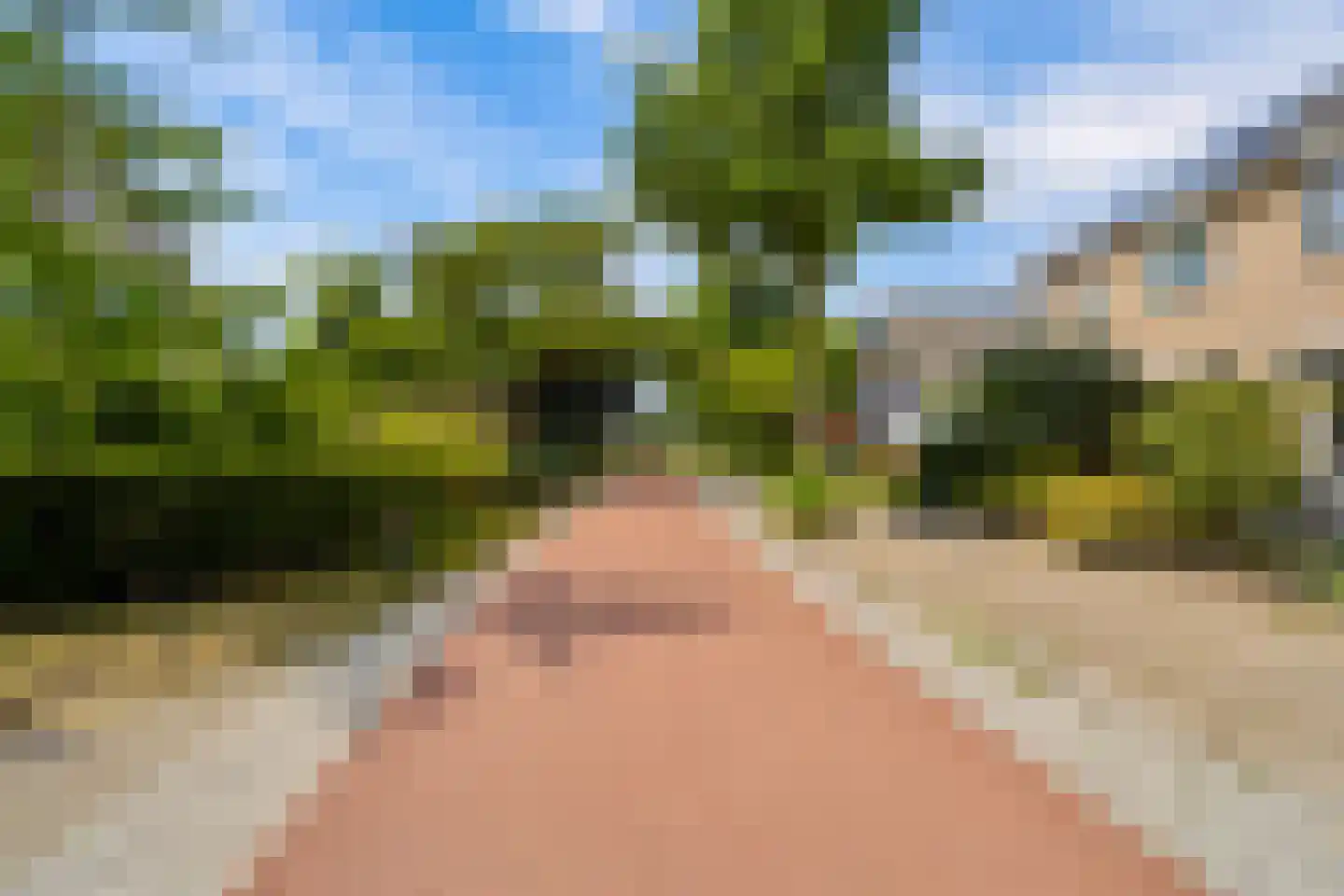 Vikingenpoort 7 Houten thumbnail 57
