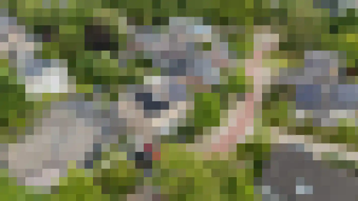 Vikingenpoort 7 Houten thumbnail 59