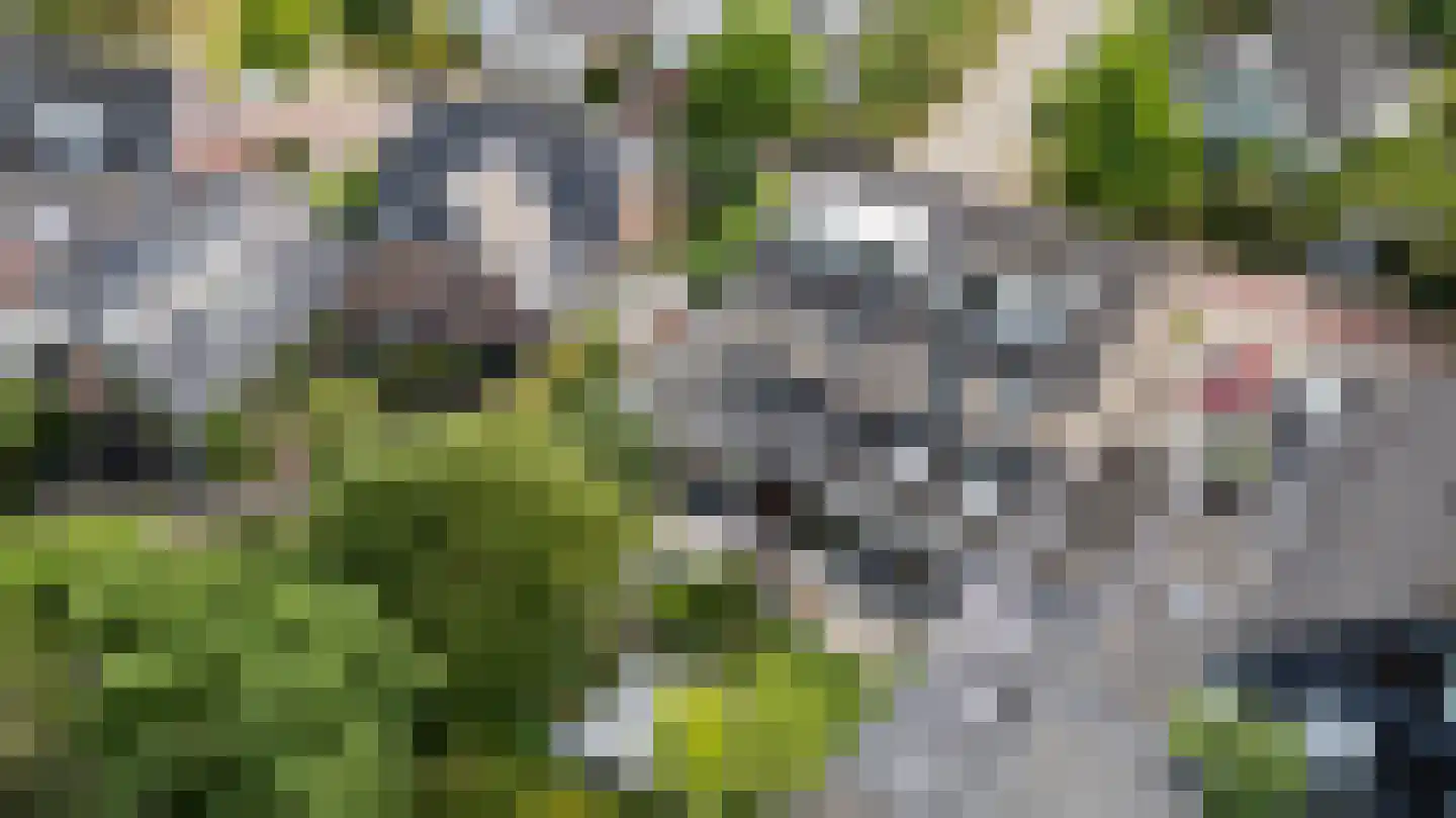Vikingenpoort 7 Houten thumbnail 60