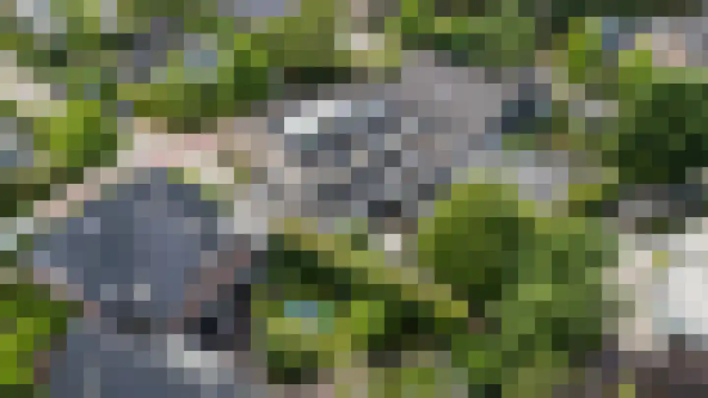 Vikingenpoort 7 Houten thumbnail 61