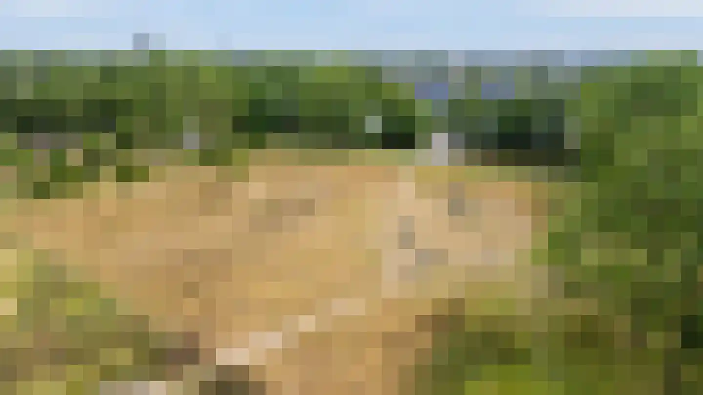 Vikingenpoort 7 Houten thumbnail 62