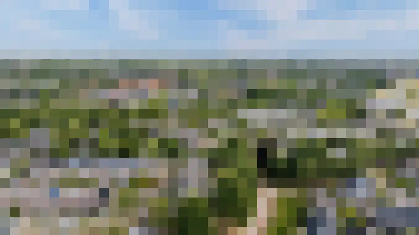 Vikingenpoort 7 Houten thumbnail 64