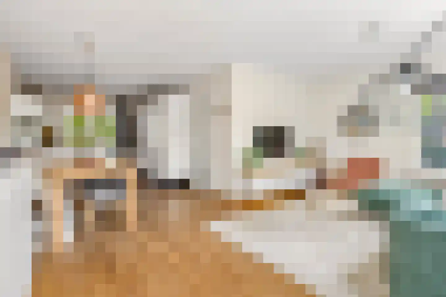 Vikingenpoort 7 Houten thumbnail 9