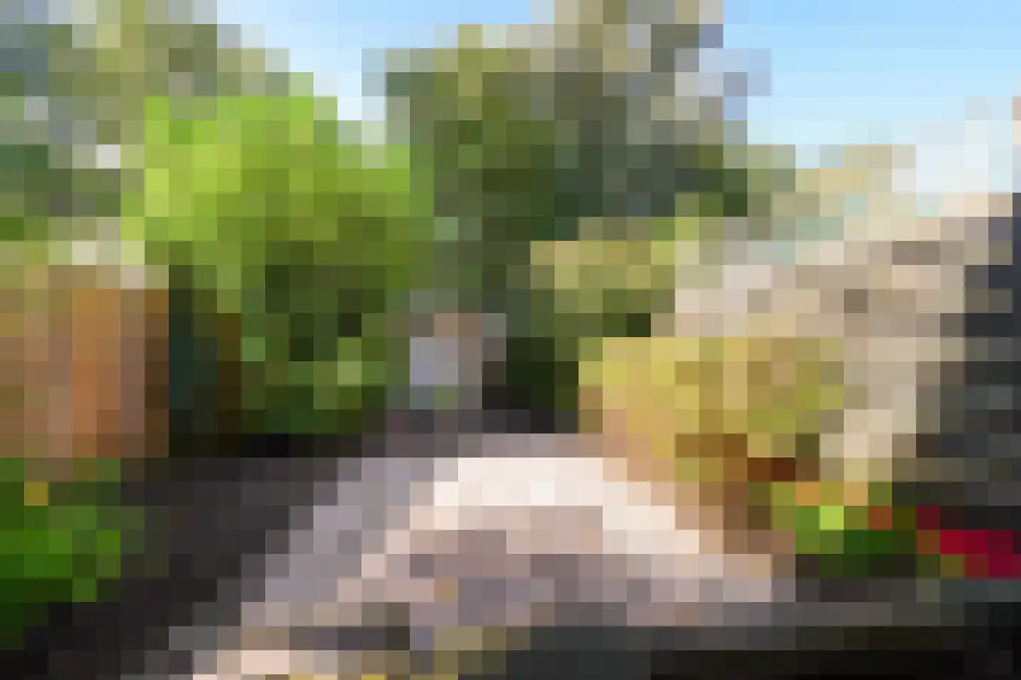 Vikingoord 23 Rotterdam thumbnail 22