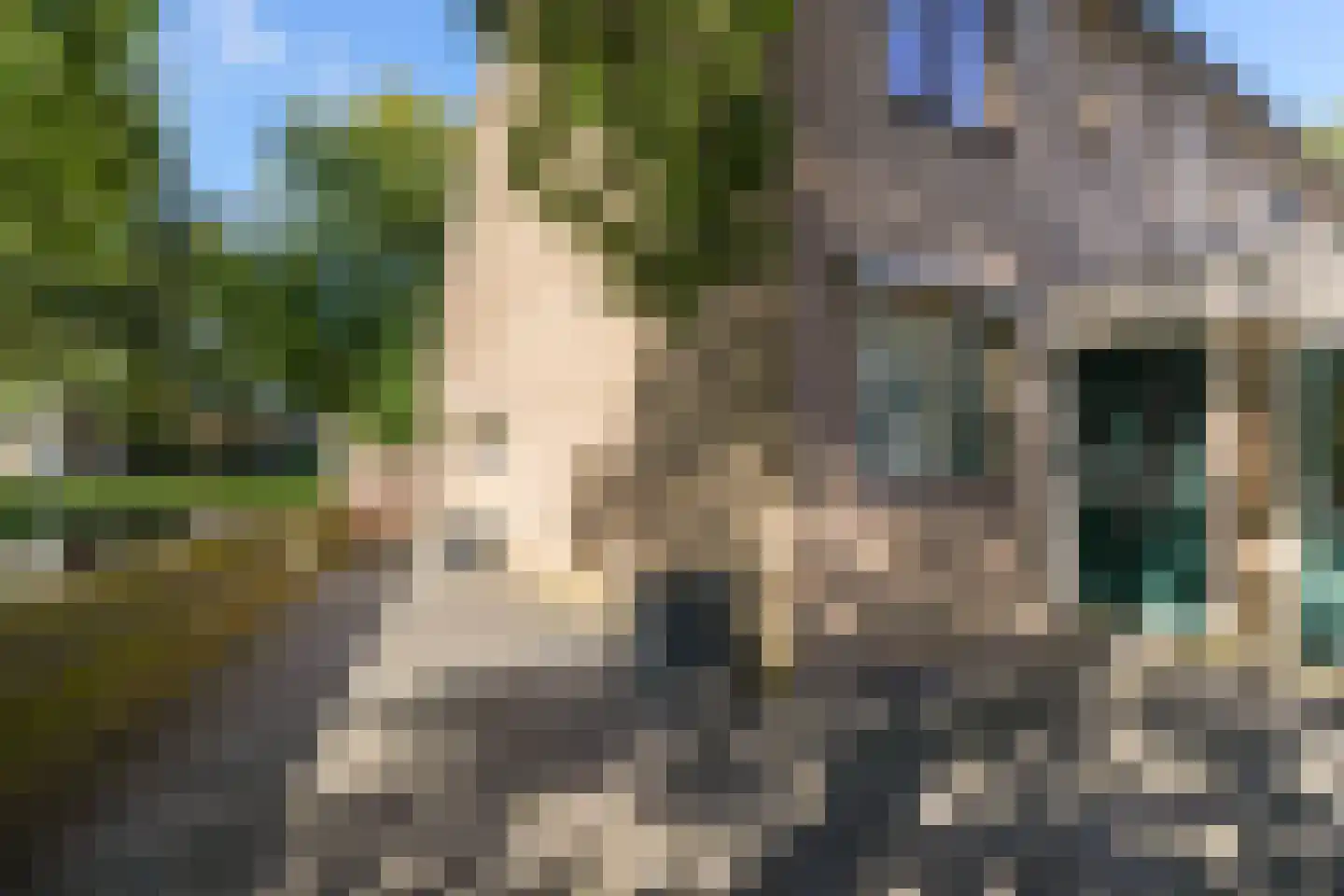 Vikingoord 23 Rotterdam thumbnail 24