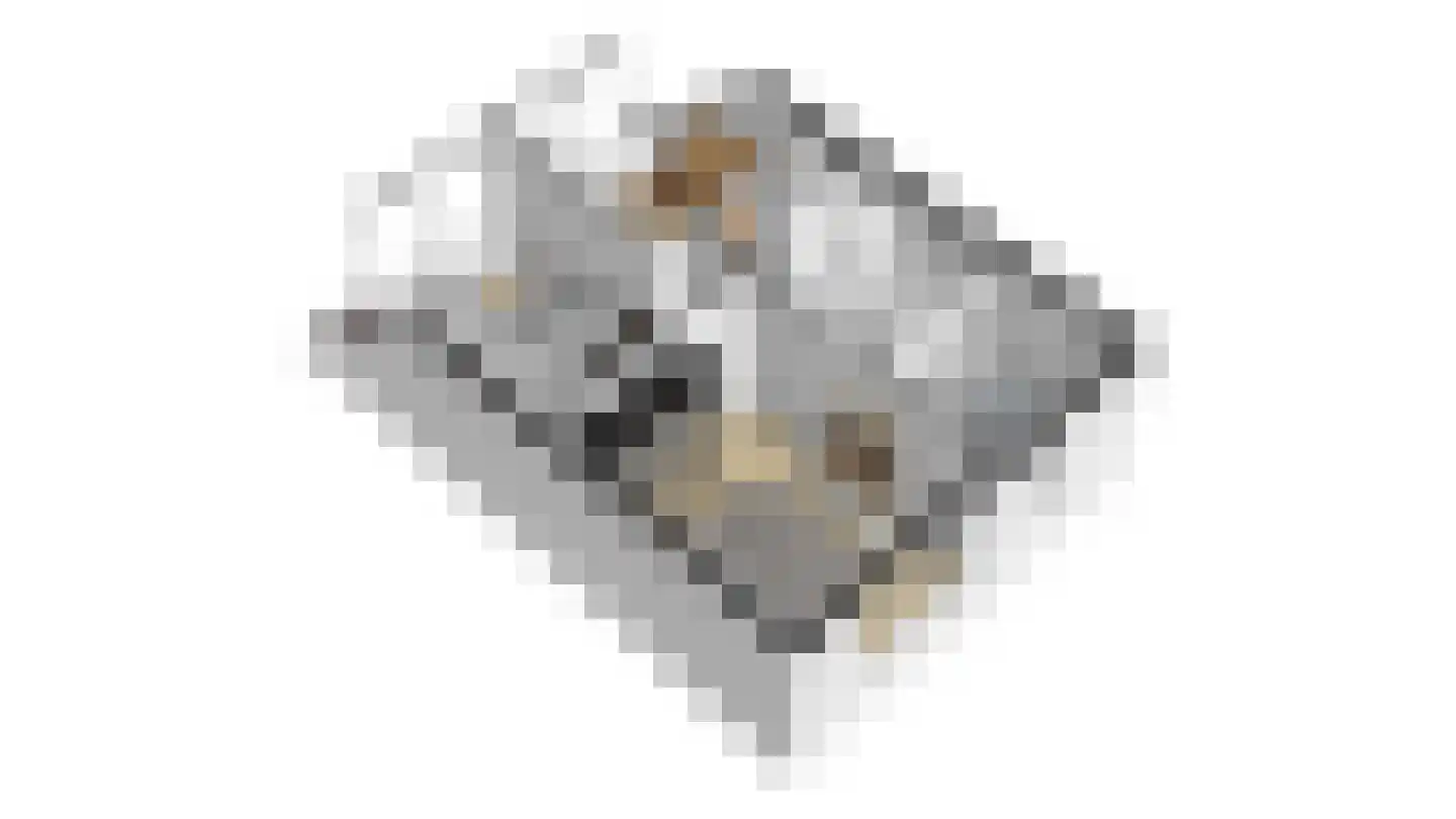 Vikingoord 23 Rotterdam thumbnail 30
