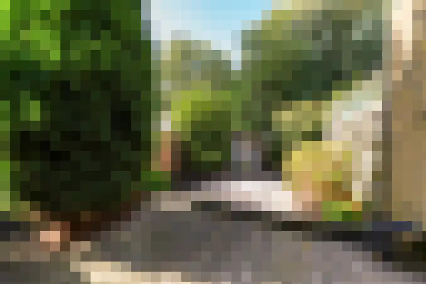 Vikingoord 23 Rotterdam thumbnail 5