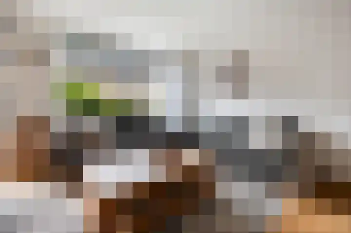Vikingoord 63 Rotterdam thumbnail 11