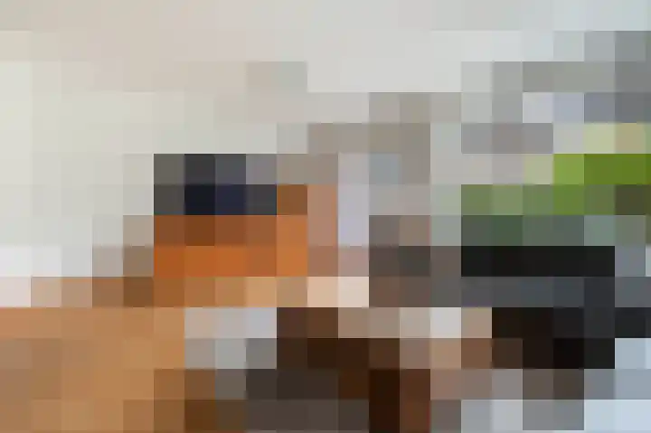 Vikingoord 63 Rotterdam thumbnail 13