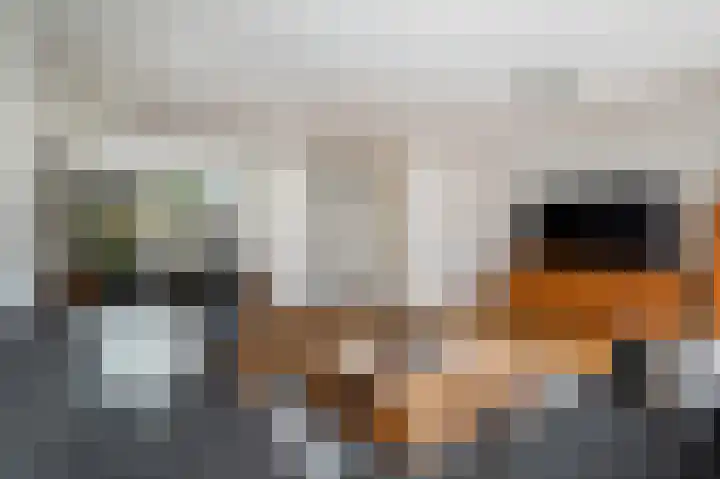 Vikingoord 63 Rotterdam thumbnail 14