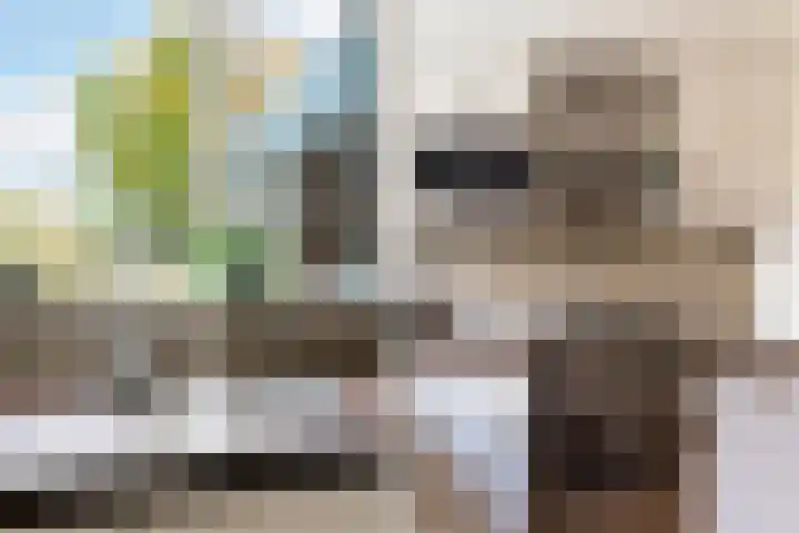 Vikingoord 63 Rotterdam thumbnail 18