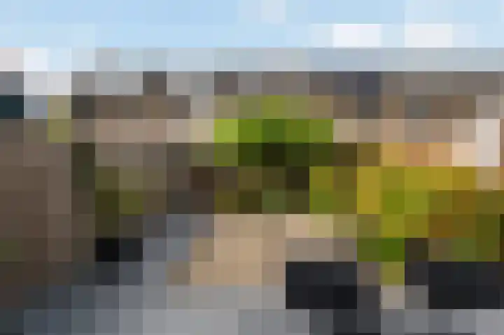 Vikingoord 63 Rotterdam thumbnail 20