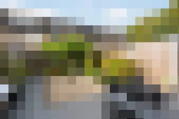 Vikingoord 63 Rotterdam thumbnail 21