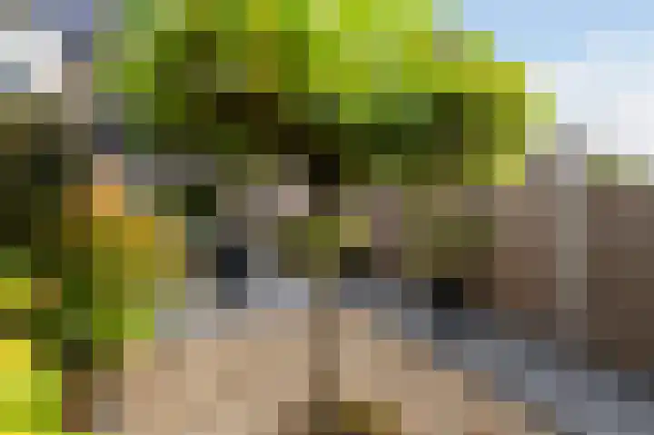Vikingoord 63 Rotterdam thumbnail 22