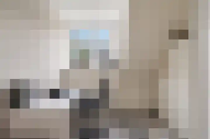 Vikingoord 63 Rotterdam thumbnail 31