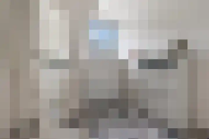 Vikingoord 63 Rotterdam thumbnail 34
