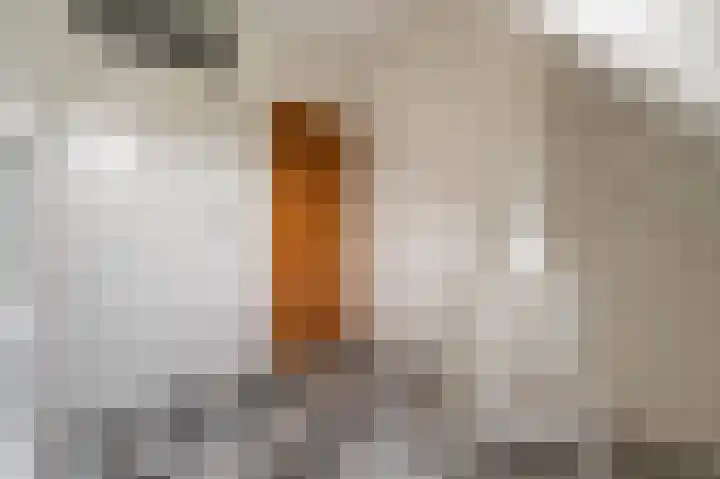 Vikingoord 63 Rotterdam thumbnail 35