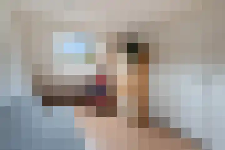Vikingoord 63 Rotterdam thumbnail 42