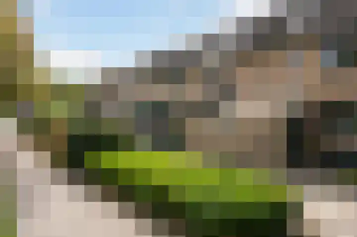 Vikingoord 63 Rotterdam thumbnail 43