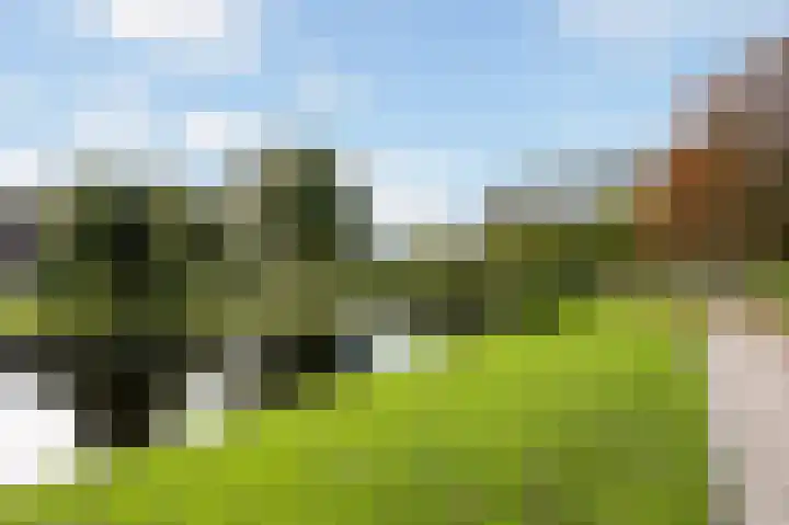 Vikingoord 63 Rotterdam thumbnail 46