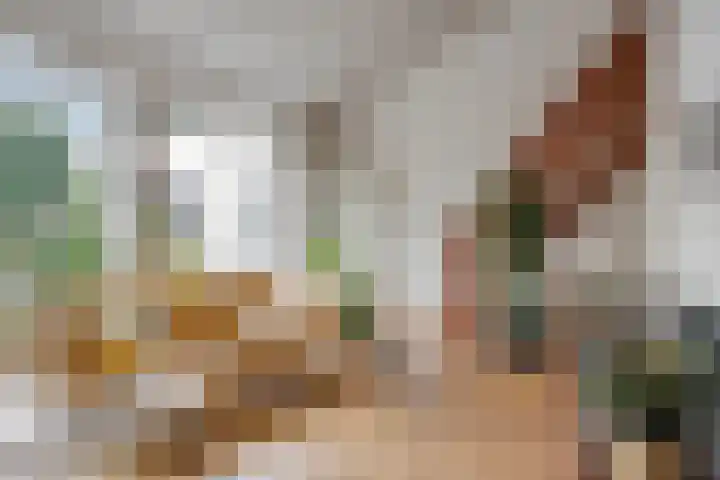 Vikingstraat 5 Zuid-Beijerland thumbnail 10