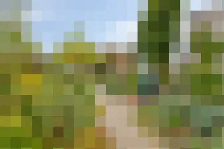 Vikingstraat 5 Zuid-Beijerland thumbnail 39