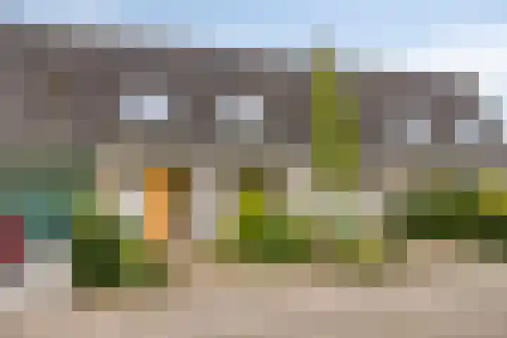 Vikingstraat 5 Zuid-Beijerland thumbnail 4