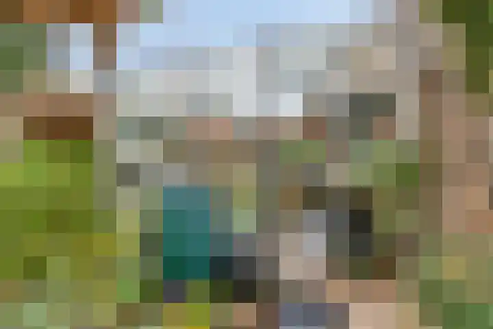 Vikingstraat 5 Zuid-Beijerland thumbnail 41