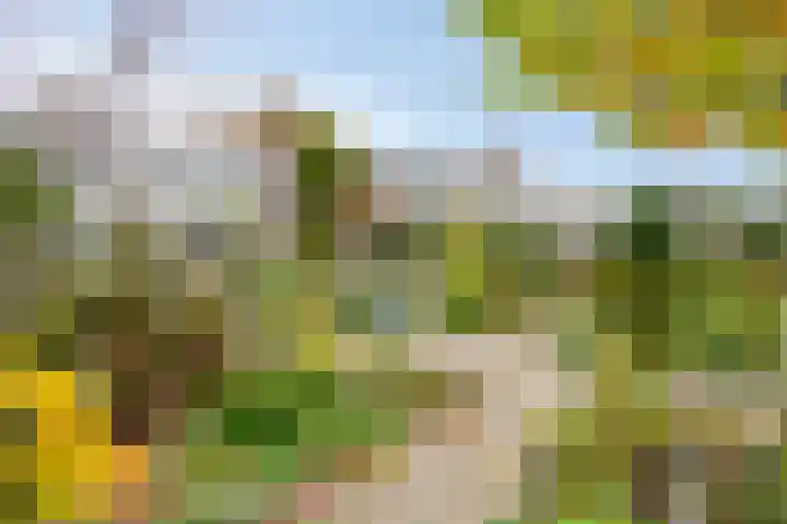 Vikingstraat 5 Zuid-Beijerland thumbnail 43