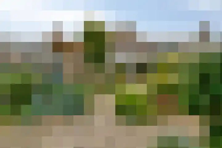 Vikingstraat 5 Zuid-Beijerland thumbnail 46