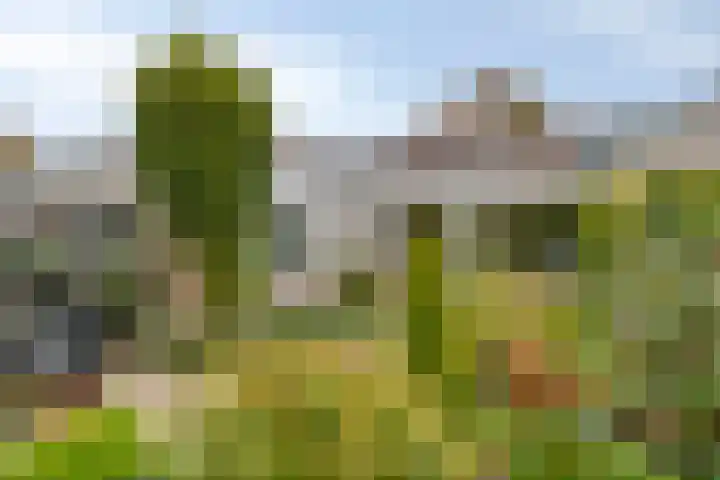 Vikingstraat 5 Zuid-Beijerland thumbnail 47
