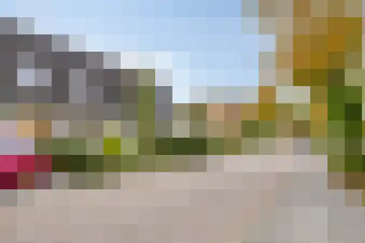 Vikingstraat 5 Zuid-Beijerland thumbnail 48