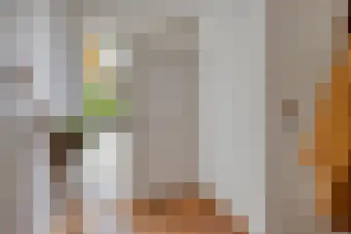 Vikingstraat 5 Zuid-Beijerland thumbnail 6