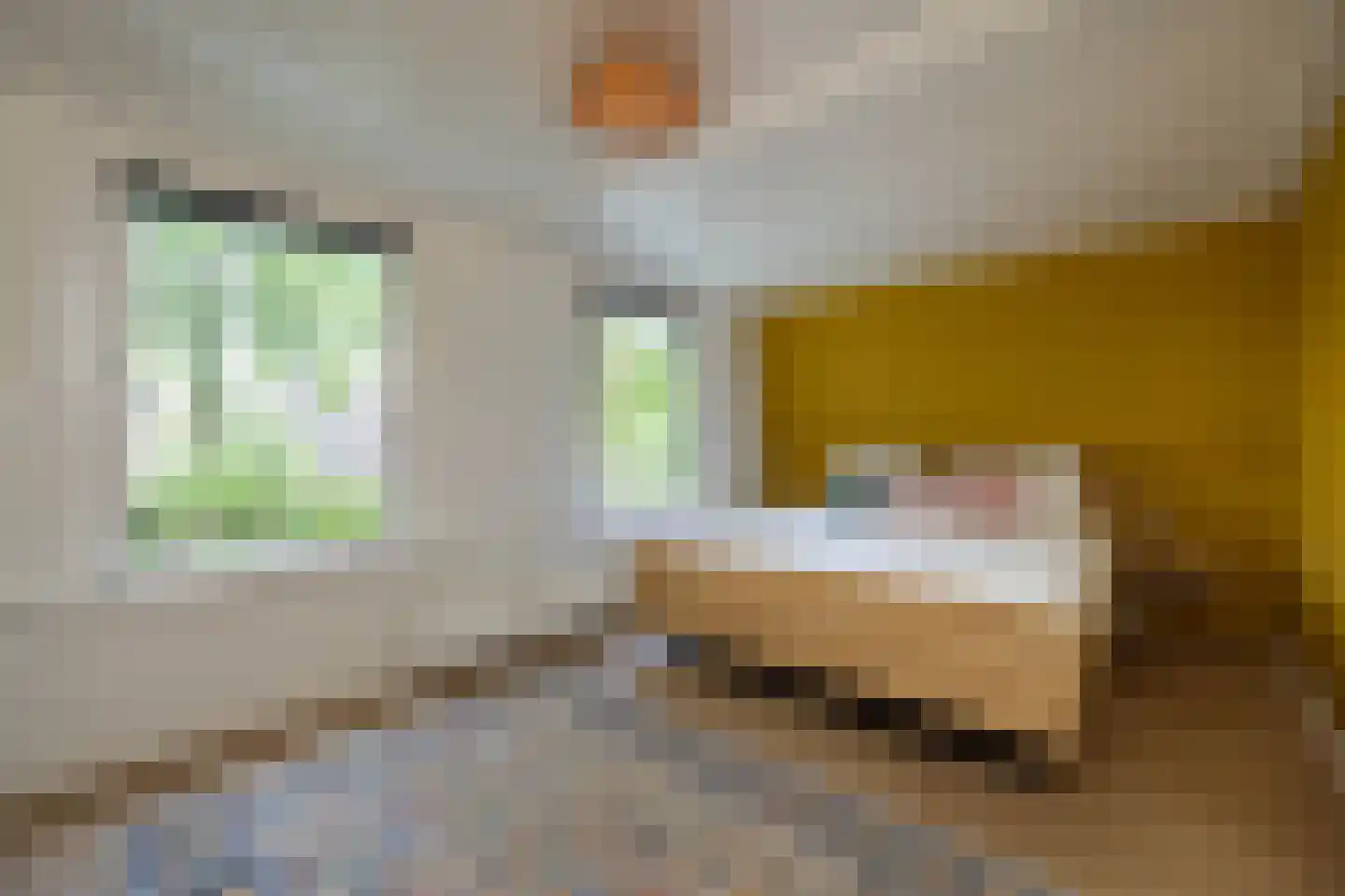 Vikkerhoekweg 3 Hengelo thumbnail 18