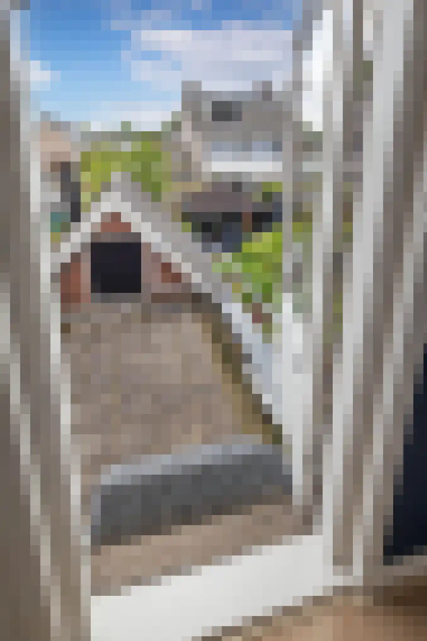 Vikkerhoekweg 3 Hengelo thumbnail 23