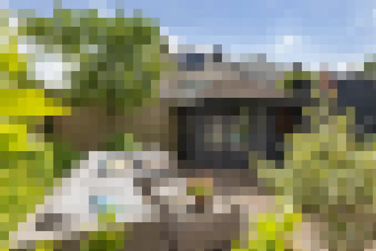 Vikkerhoekweg 3 Hengelo thumbnail 25