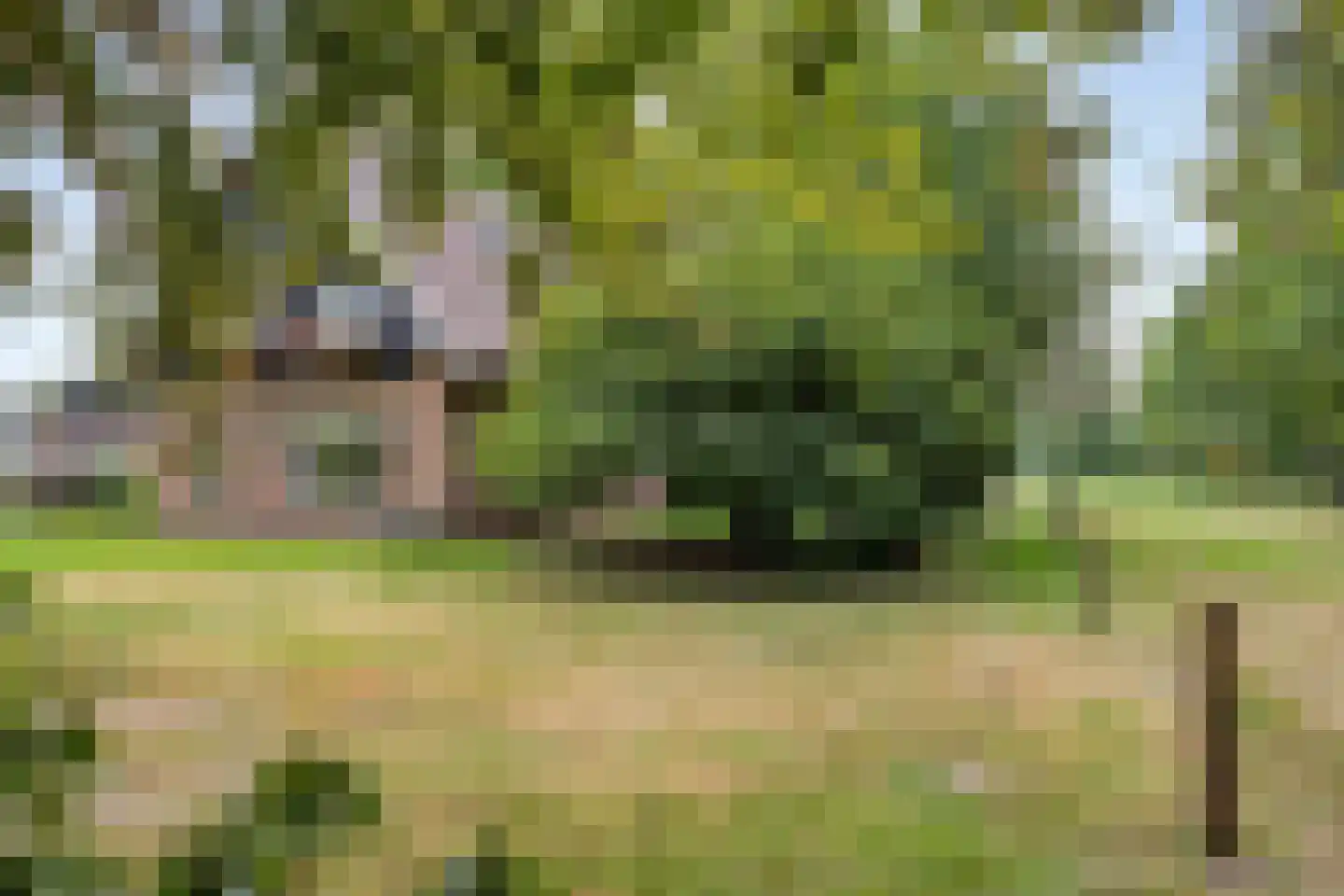 Vikkerhoekweg 65 Hengelo thumbnail 11