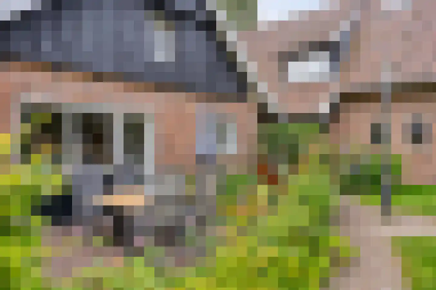 Vikkerhoekweg 65 Hengelo thumbnail 14