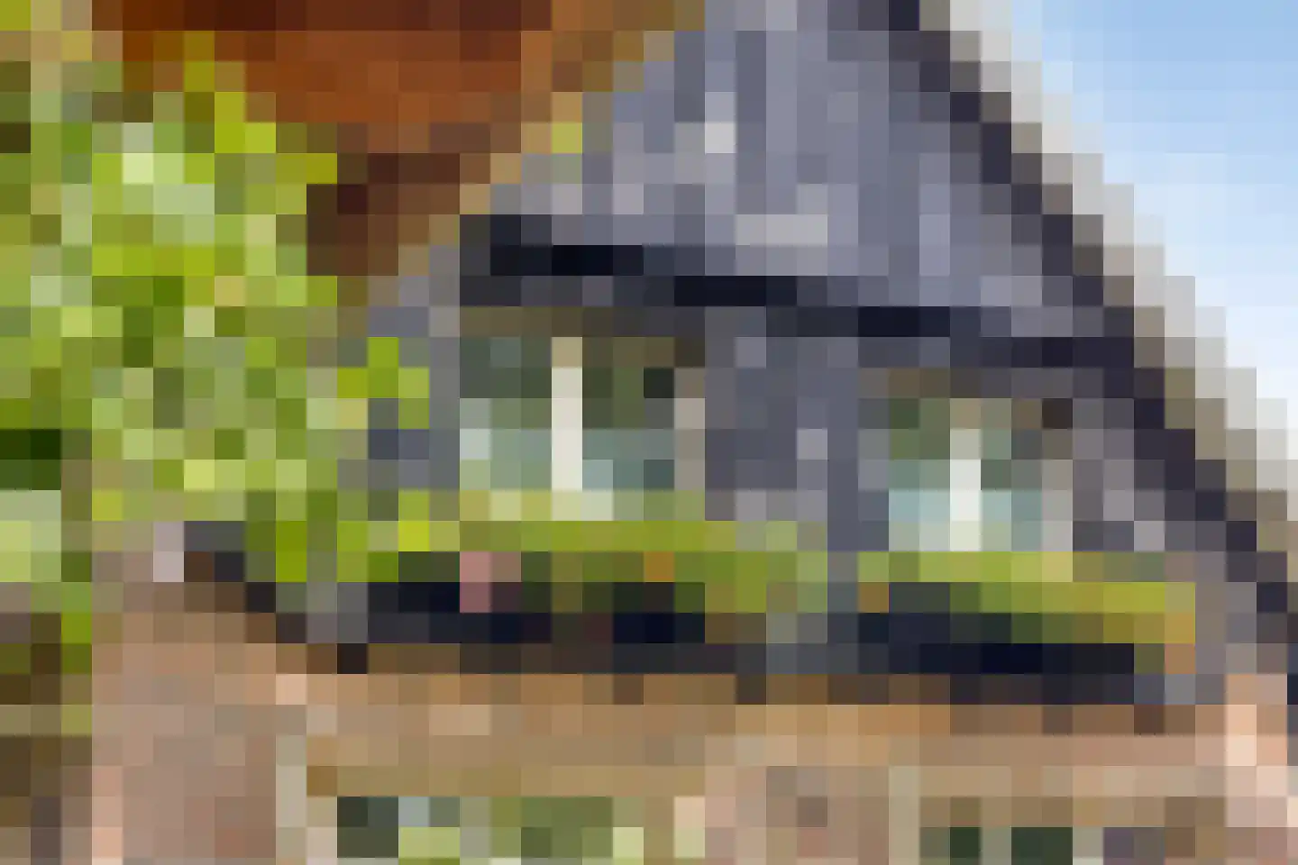 Vikkerhoekweg 65 Hengelo thumbnail 59