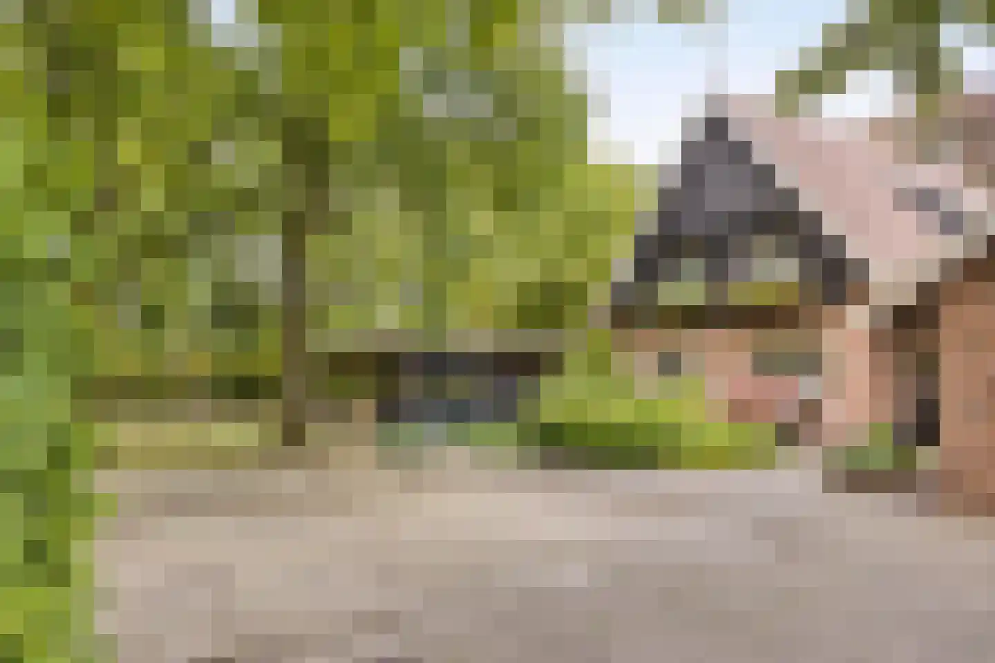 Vikkerhoekweg 65 Hengelo thumbnail 67
