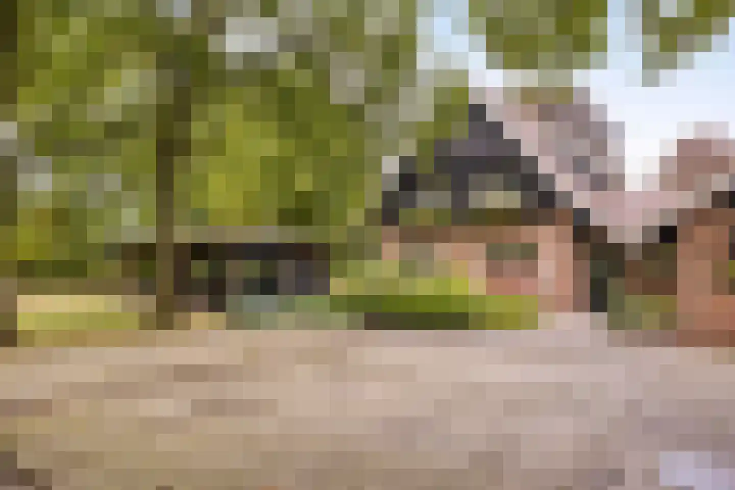 Vikkerhoekweg 65 Hengelo thumbnail 68