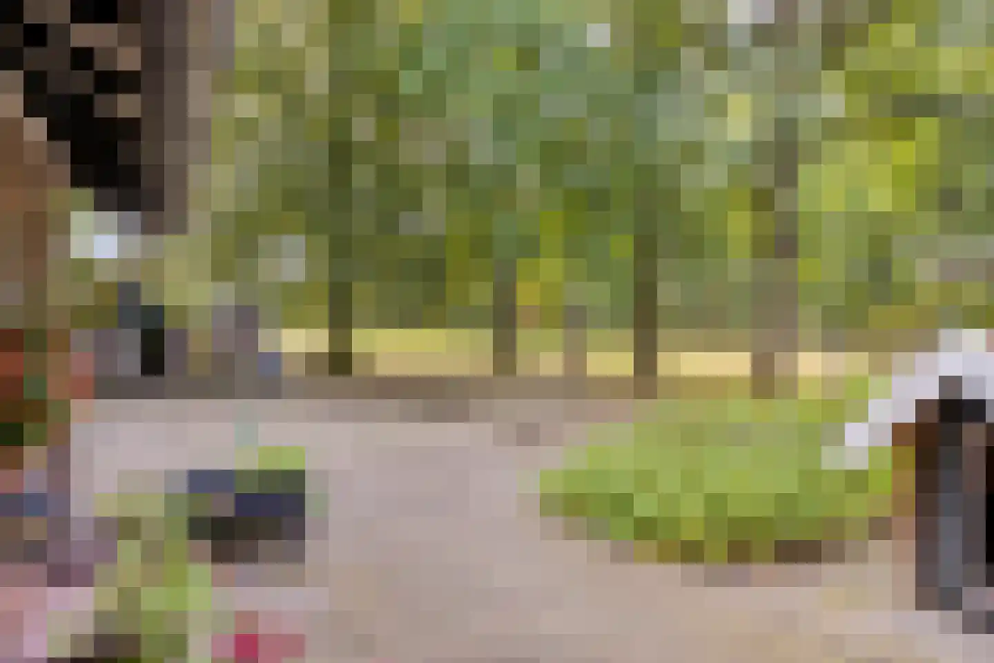 Vikkerhoekweg 65 Hengelo thumbnail 70