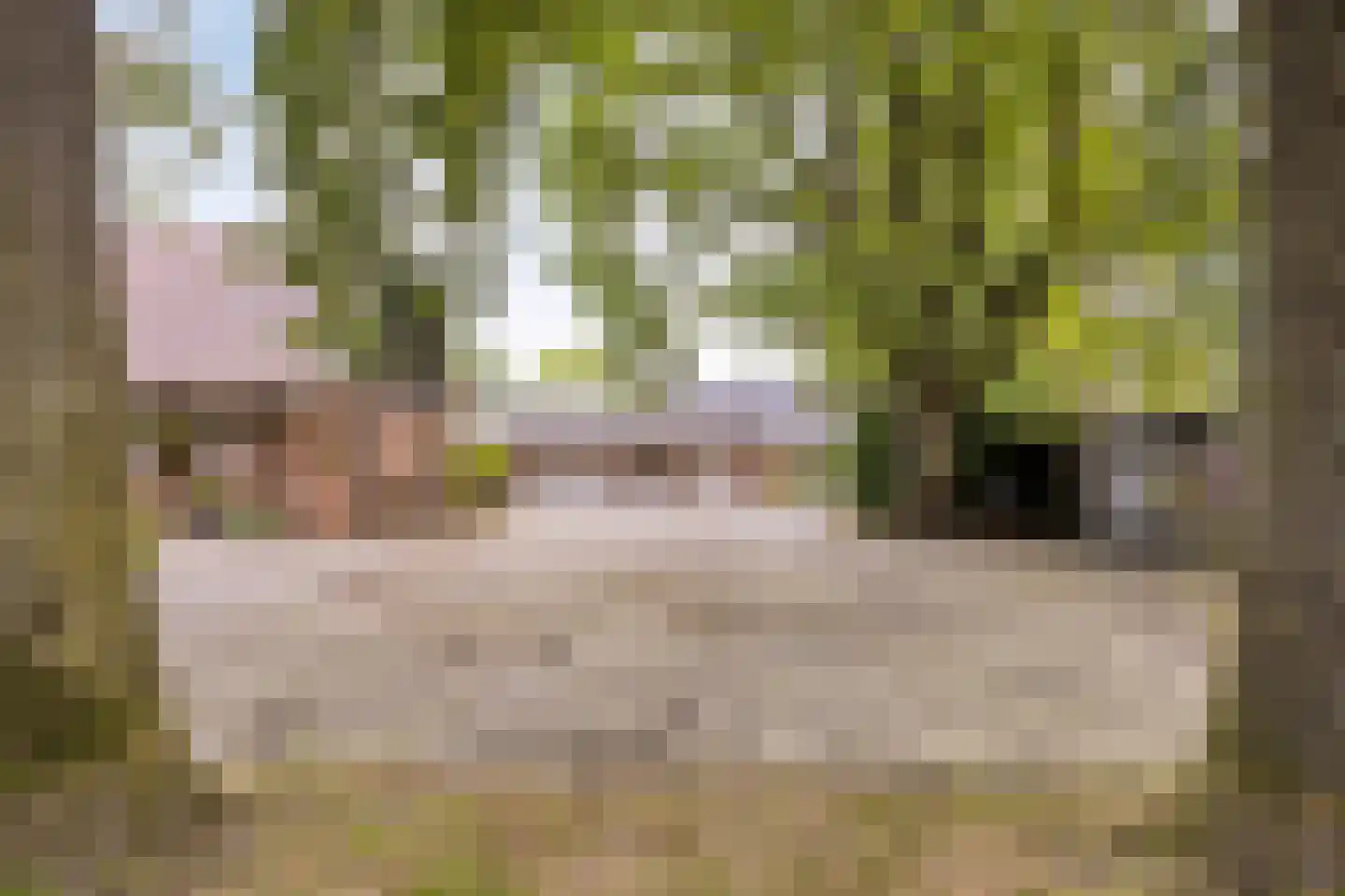 Vikkerhoekweg 65 Hengelo thumbnail 71